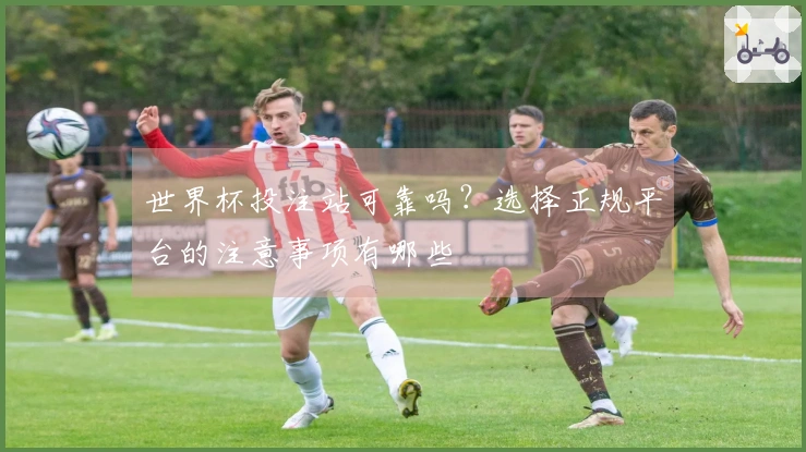 世界杯投注站可靠吗？选择正规平台的注意事项有哪些