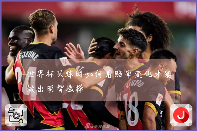世界杯买球时如何看赔率变化才能做出明智选择