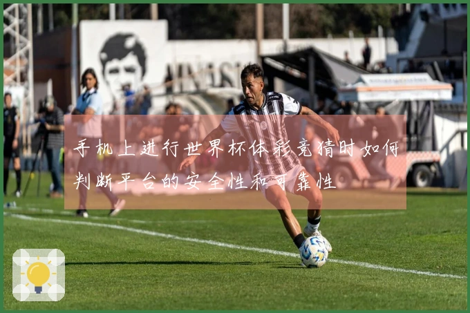 手机上进行世界杯体彩竞猜时如何判断平台的安全性和可靠性